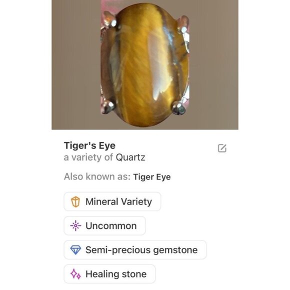 Tigers Eye Gemstone Ring Size 9.75 on Silvertone with Vine Accents on Band - Picture 5 of 12